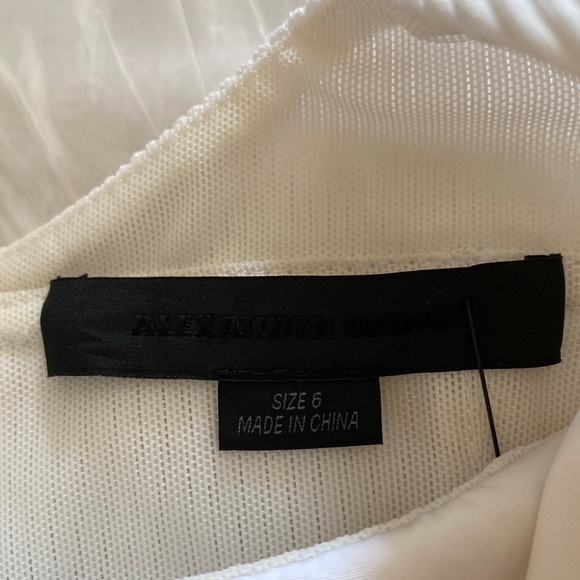 EUC ALEXANDER WANG Poplin Fit-And-Flare Mini Dress 6 $695 - Picture 9 of 10